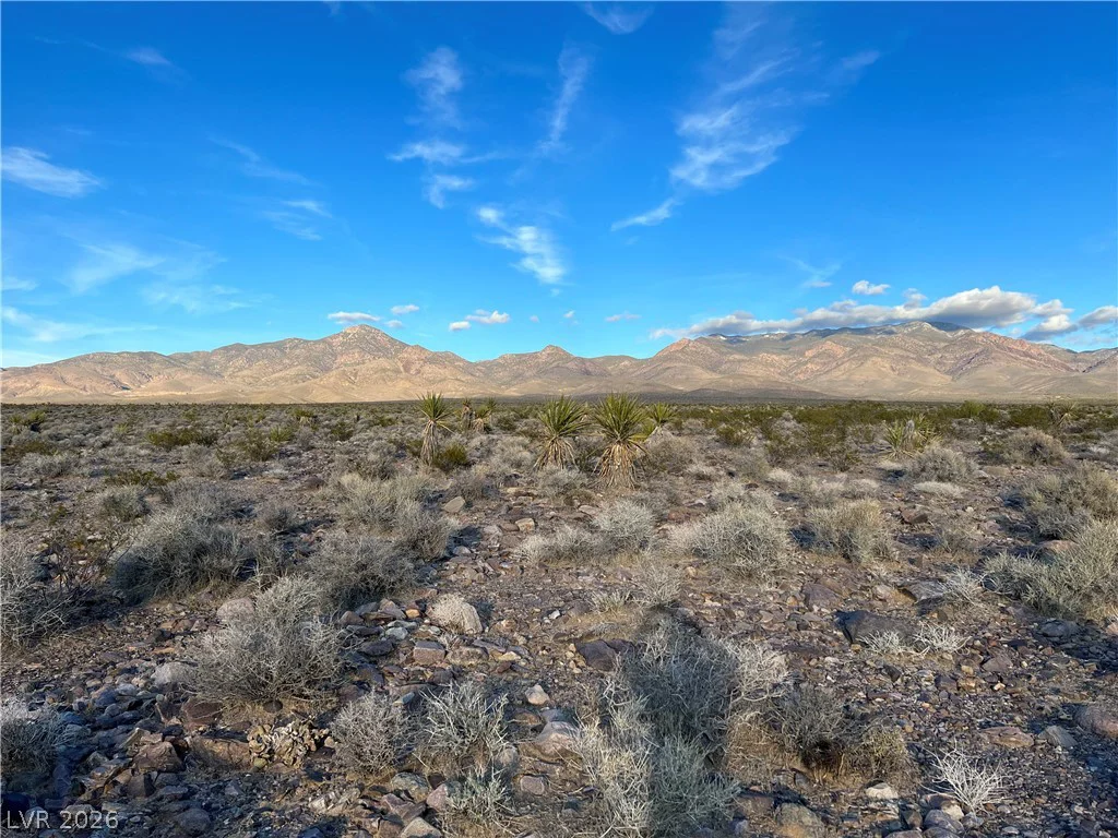 560 Ohio, Pahrump, NV 89020