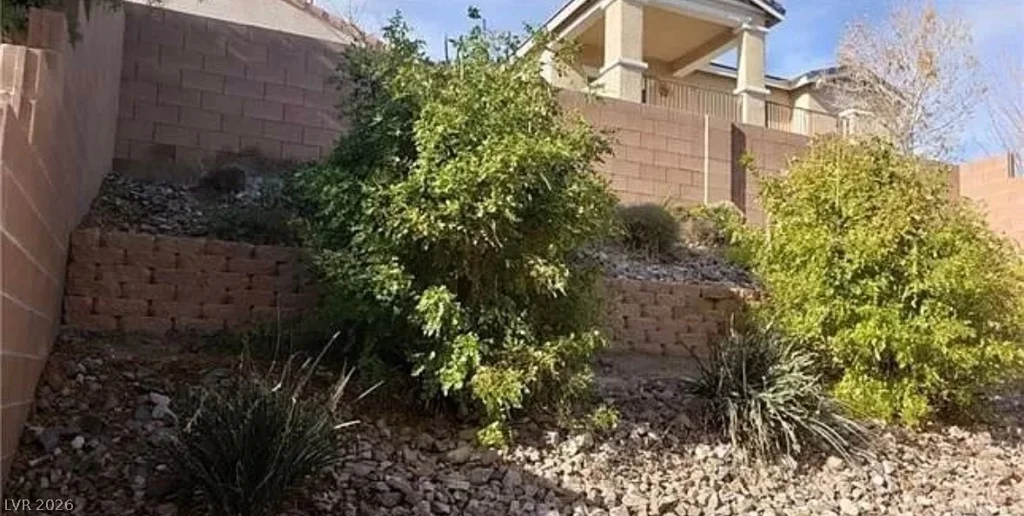 6541 Chinatown, Las Vegas, NV 89166