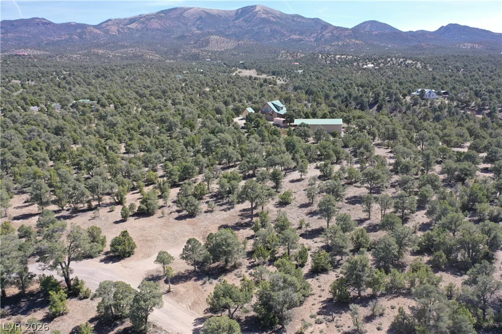 1281 Meadow, Pioche, NV 89043
