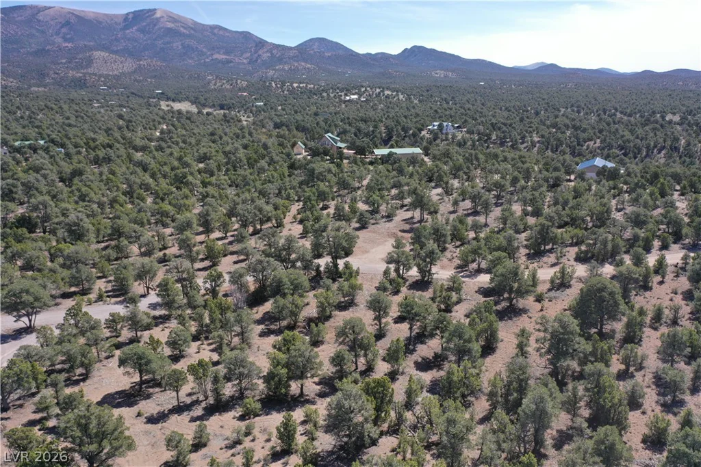 1281 Meadow, Pioche, NV 89043