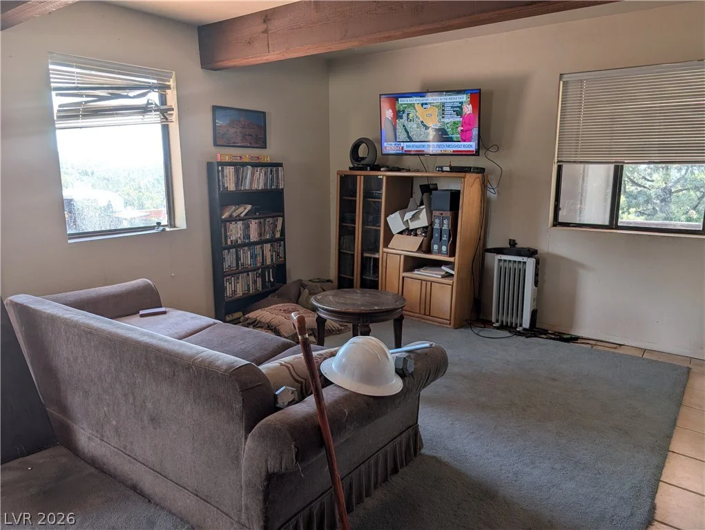 1281 Meadow, Pioche, NV 89043