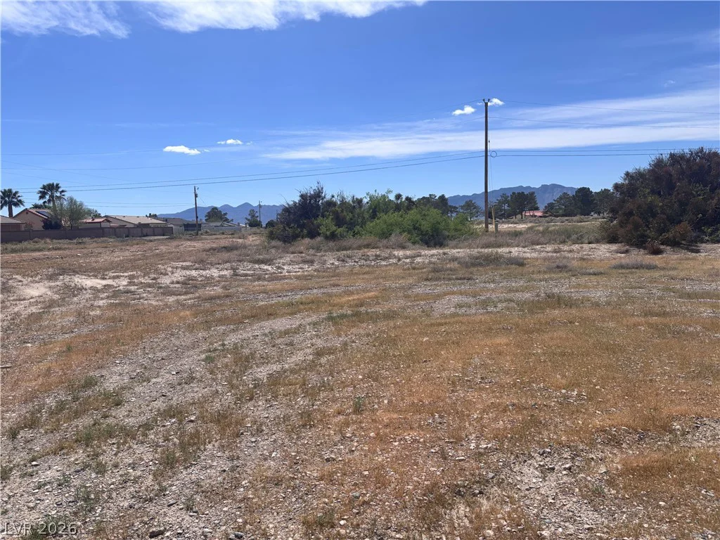 1401 Saddle, Pahrump, NV 89048