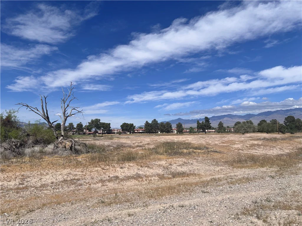 1401 Saddle, Pahrump, NV 89048