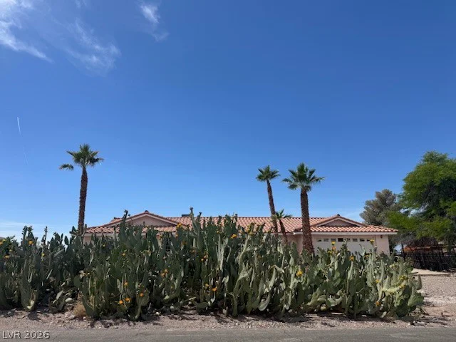 528 Emden, Henderson, NV 89015