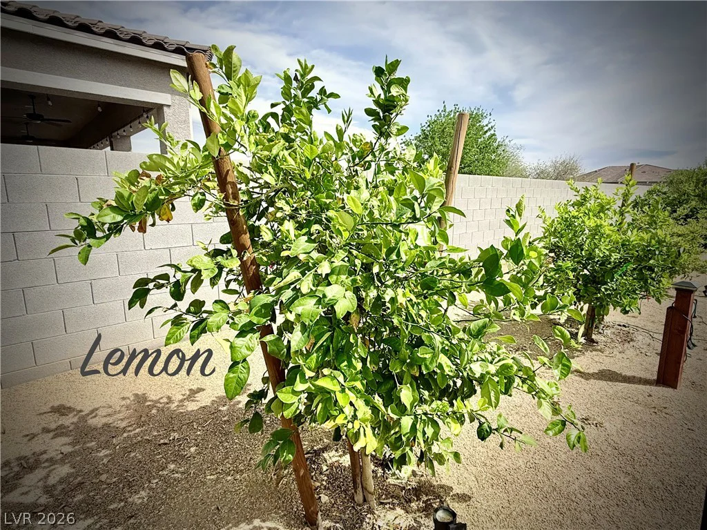 4911 Sandalwood, Pahrump, NV 89061