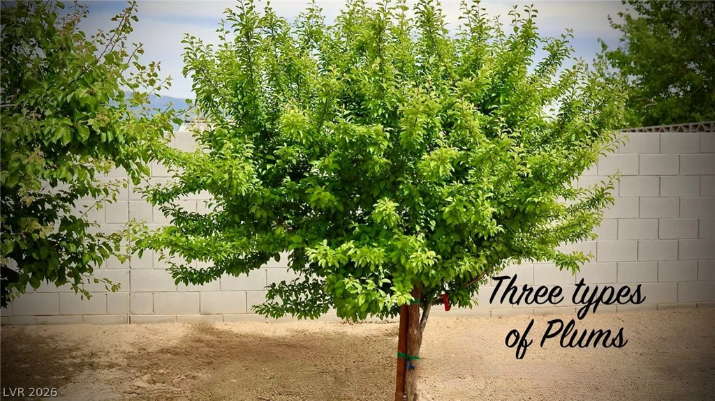 4911 Sandalwood, Pahrump, NV 89061