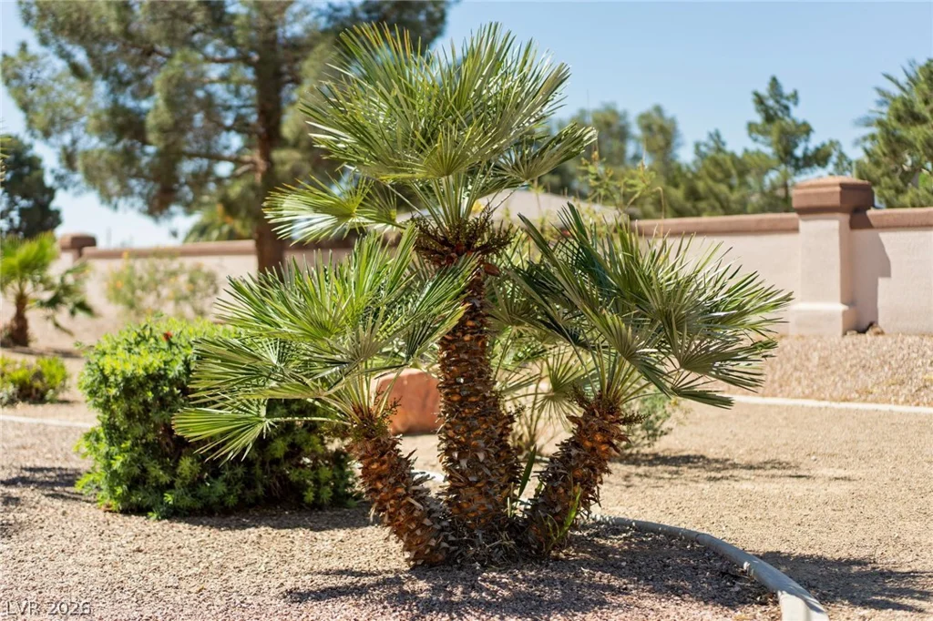 4941 Black Bear, Las Vegas, NV 89149