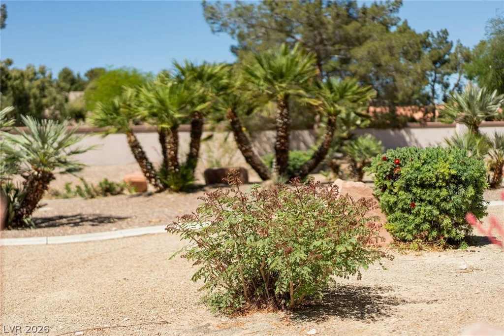 4941 Black Bear, Las Vegas, NV 89149