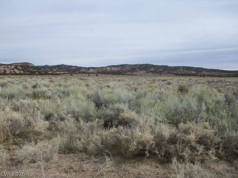 Eagle Valley Rd (33.89 Ac), Pioche, NV 89043