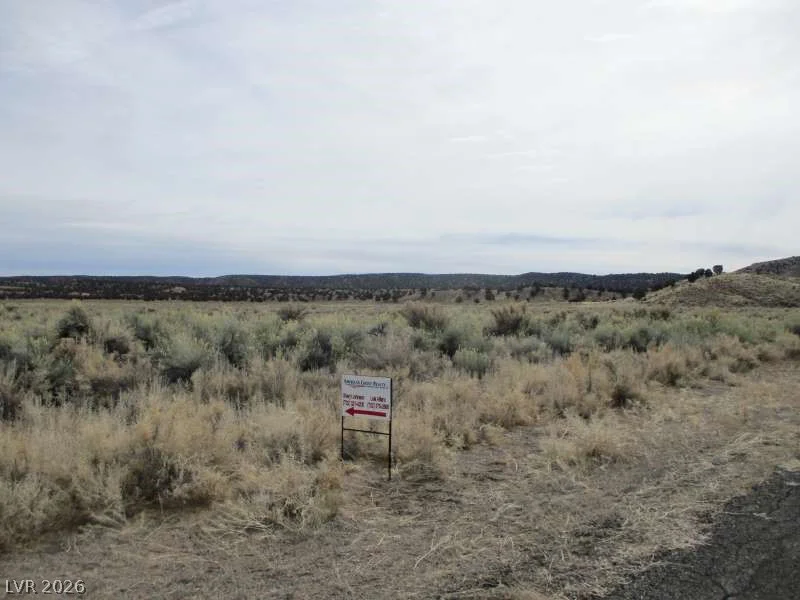 Eagle Valley Rd (33.89 Ac), Pioche, NV 89043
