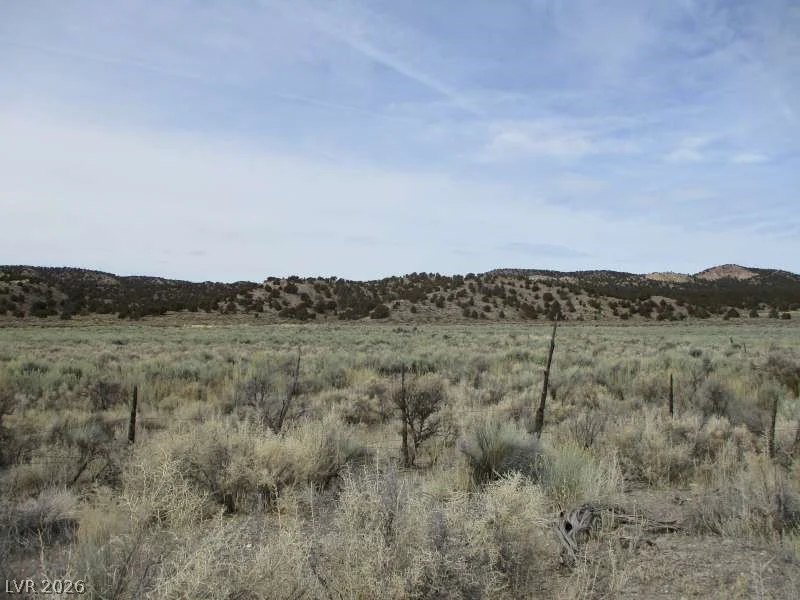 Eagle Valley Rd (33.89 Ac), Pioche, NV 89043