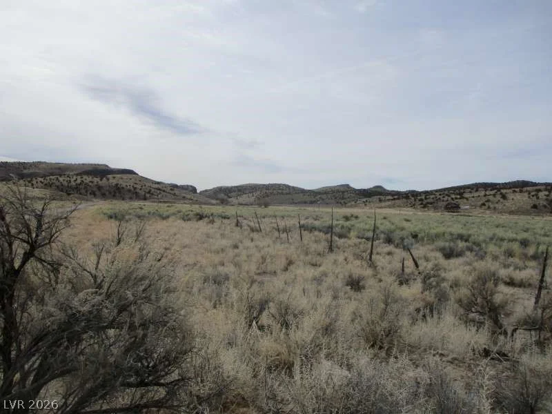 Eagle Valley Rd (33.89 Ac), Pioche, NV 89043