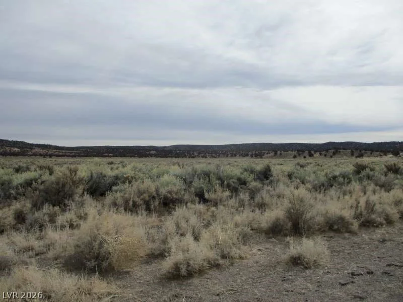Eagle Valley Rd (33.89 Ac), Pioche, NV 89043