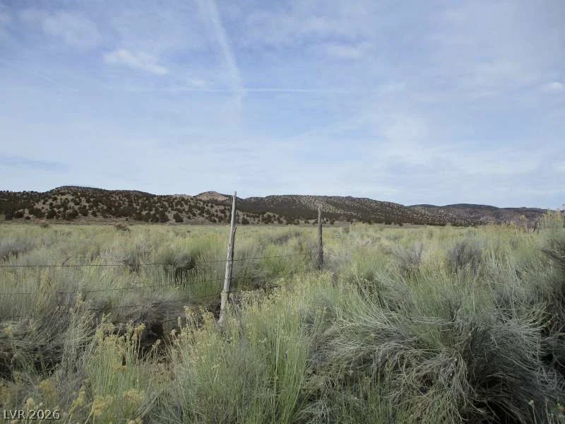 Eagle Valley Rd (33.89 Ac), Pioche, NV 89043