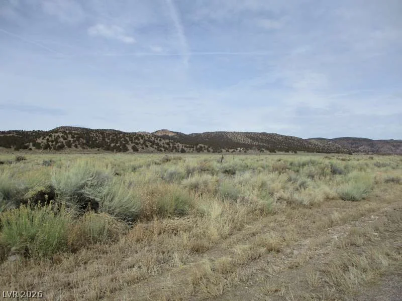 Eagle Valley Rd (33.89 Ac), Pioche, NV 89043