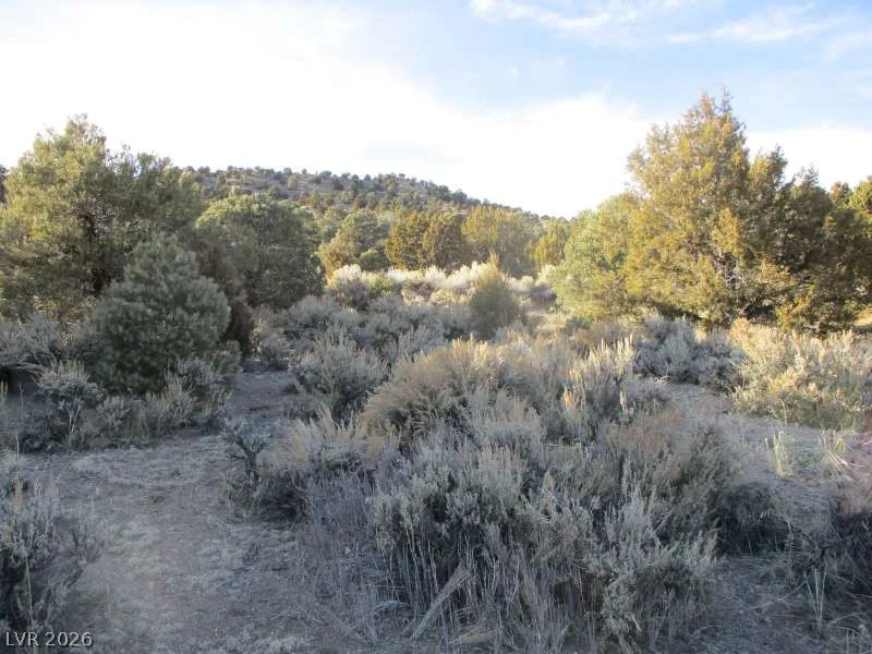 NV Hwy 322 (30.15 Ac), Pioche, NV 89043