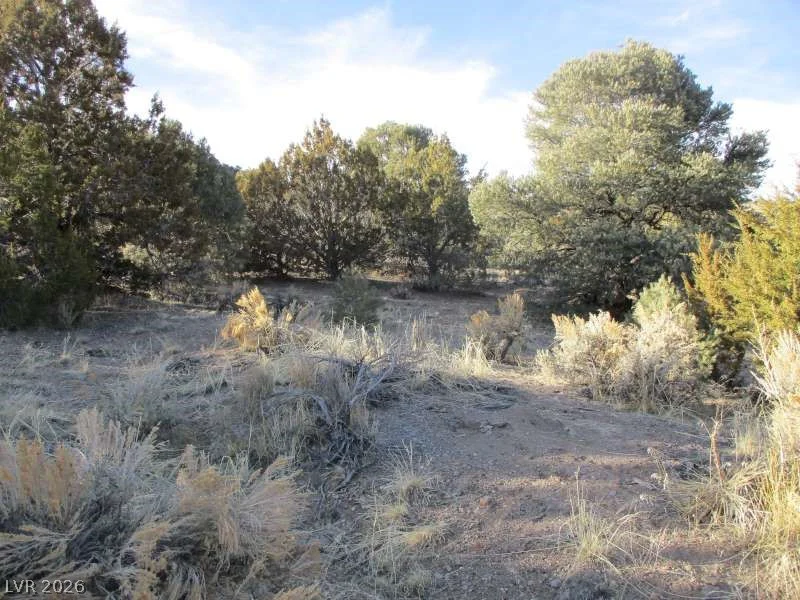 NV Hwy 322 (30.15 Ac), Pioche, NV 89043