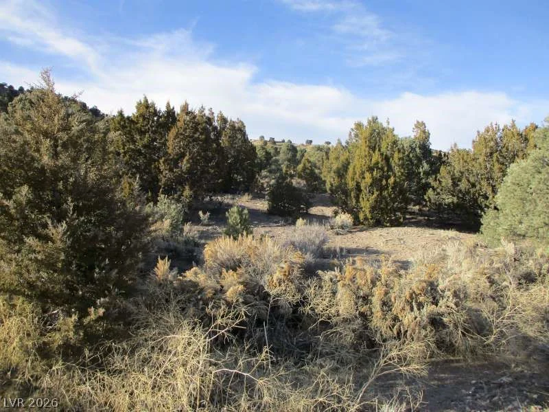 NV Hwy 322 (30.15 Ac), Pioche, NV 89043
