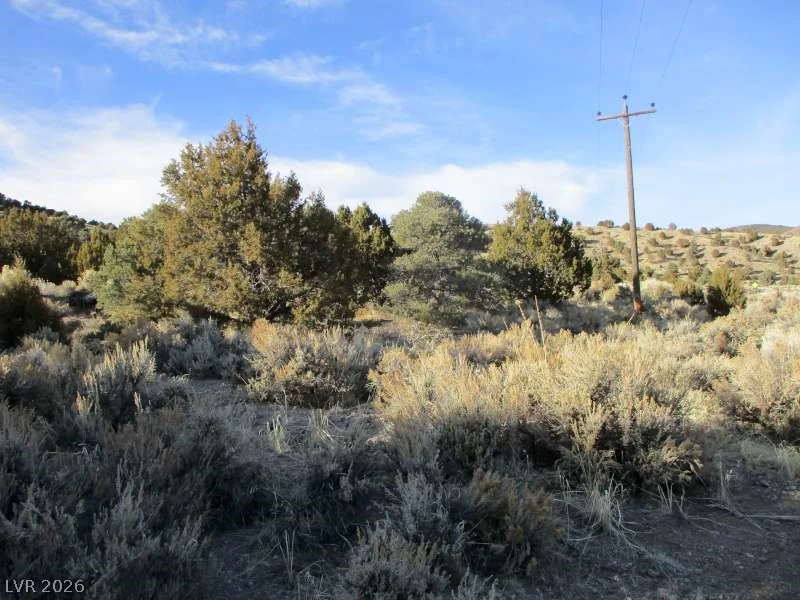 NV Hwy 322 (30.15 Ac), Pioche, NV 89043