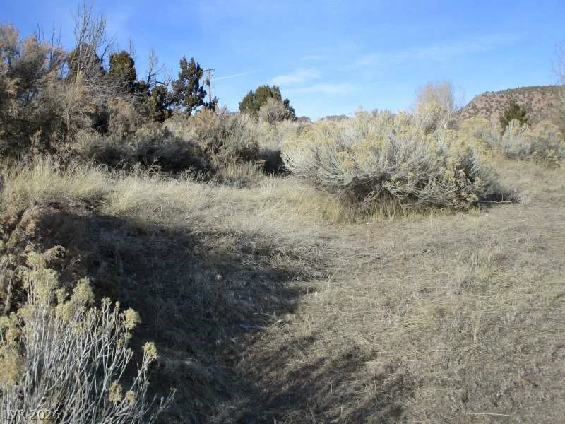 NV Hwy 322 (30.15 Ac), Pioche, NV 89043