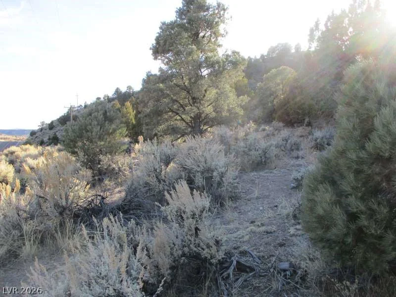 NV Hwy 322 (30.15 Ac), Pioche, NV 89043