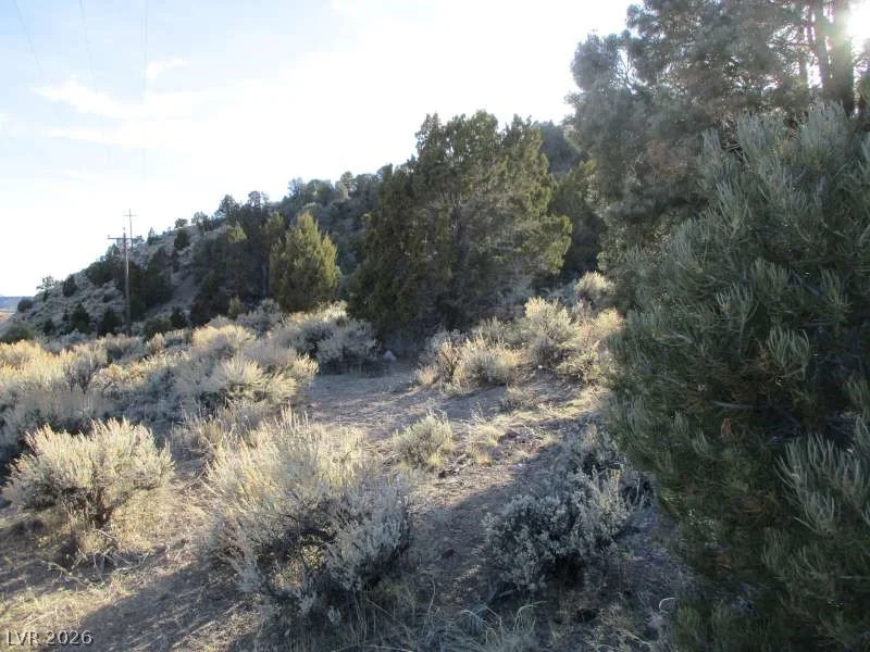 NV Hwy 322 (30.15 Ac), Pioche, NV 89043