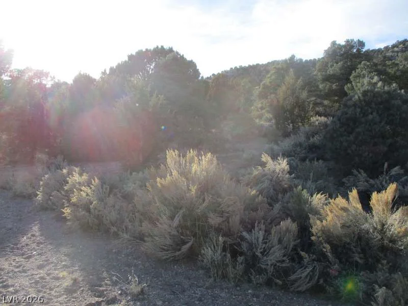 NV Hwy 322 (30.15 Ac), Pioche, NV 89043