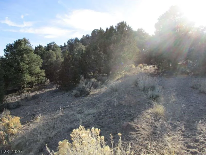 NV Hwy 322 (30.15 Ac), Pioche, NV 89043