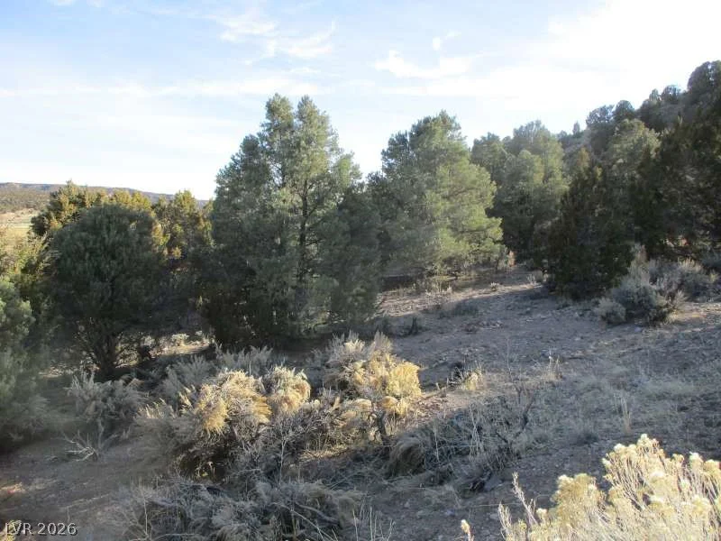NV Hwy 322 (30.15 Ac), Pioche, NV 89043