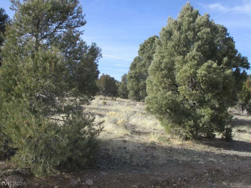 NV Hwy 322 (13.753 Ac), Pioche, NV 89043