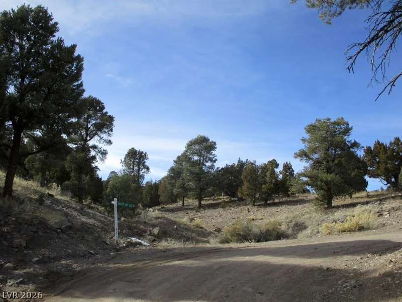NV Hwy 322 (13.753 Ac), Pioche, NV 89043