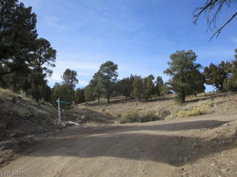NV Hwy 322 (13.753 Ac), Pioche, NV 89043