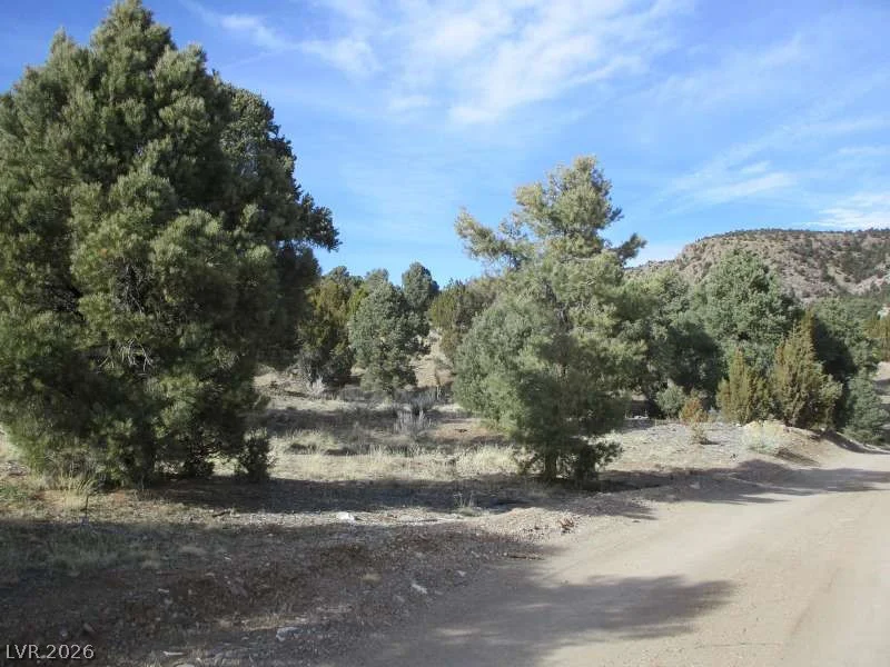 NV Hwy 322 (13.753 Ac), Pioche, NV 89043