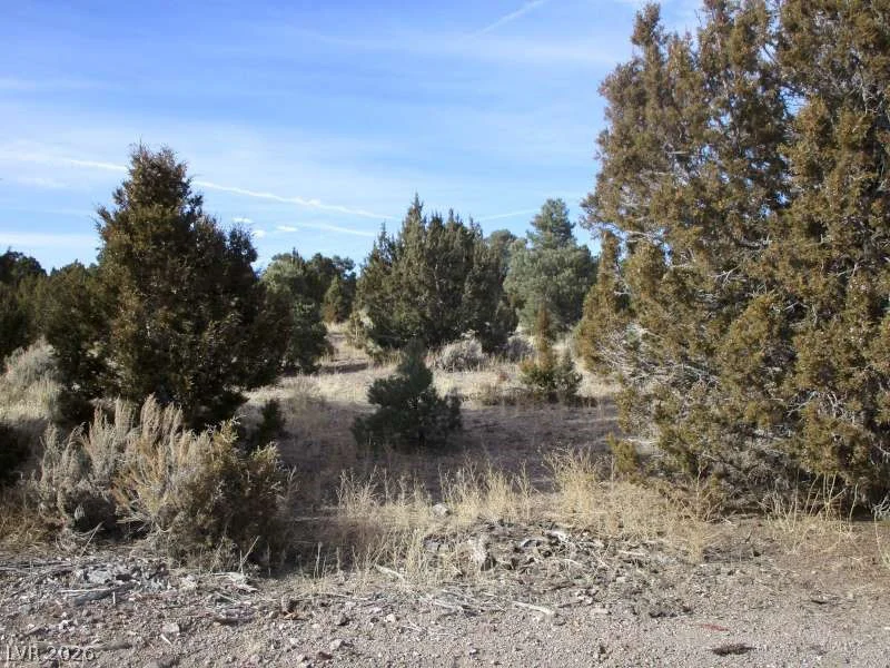 NV Hwy 322 (13.753 Ac), Pioche, NV 89043