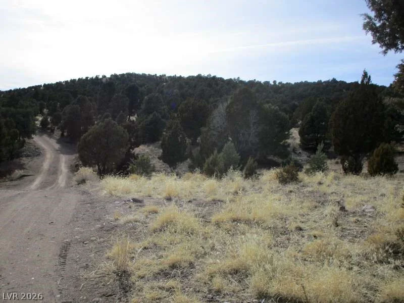 NV Hwy 322 (13.753 Ac), Pioche, NV 89043