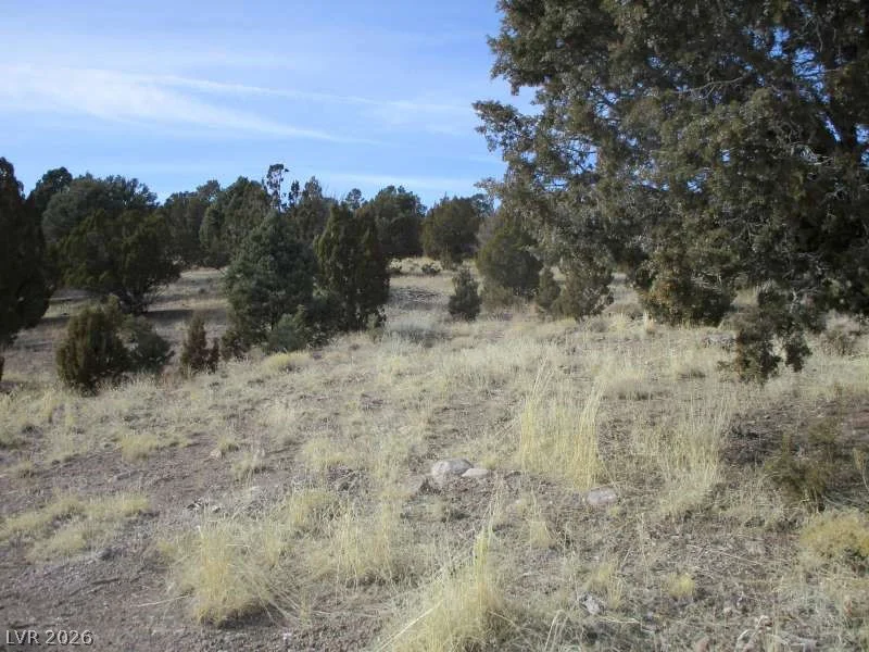 NV Hwy 322 (13.753 Ac), Pioche, NV 89043