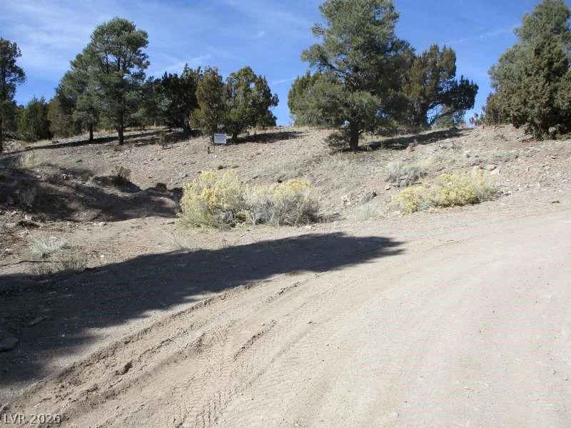 NV Hwy 322 (13.753 Ac), Pioche, NV 89043