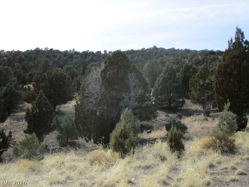 NV Hwy 322 (13.753 Ac), Pioche, NV 89043
