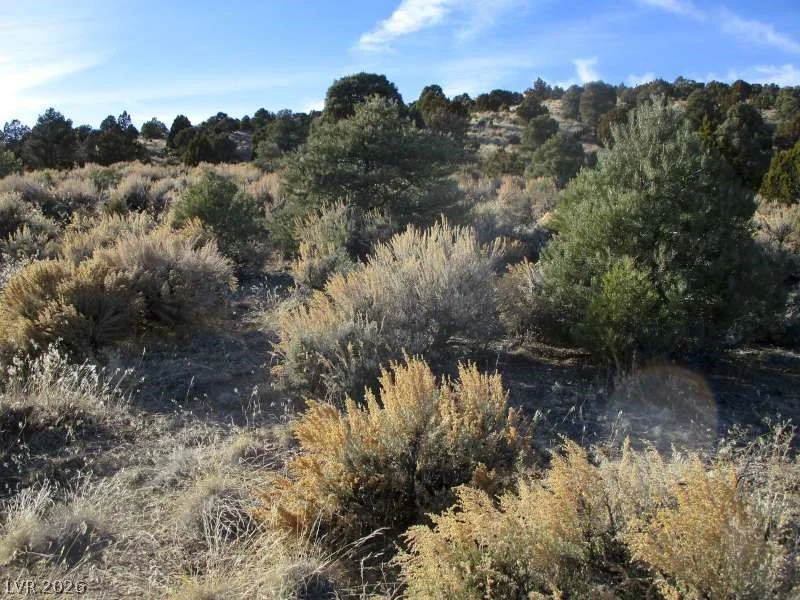 NV Hwy 322 (10.012 Ac), Pioche, NV 89043