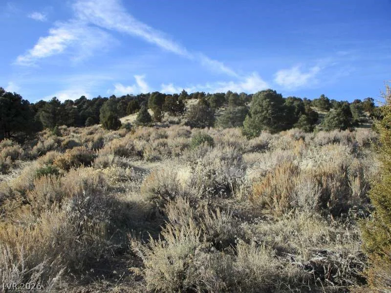 NV Hwy 322 (10.012 Ac), Pioche, NV 89043