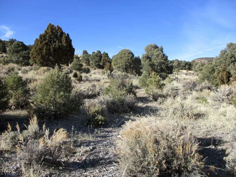 NV Hwy 322 (10.012 Ac), Pioche, NV 89043