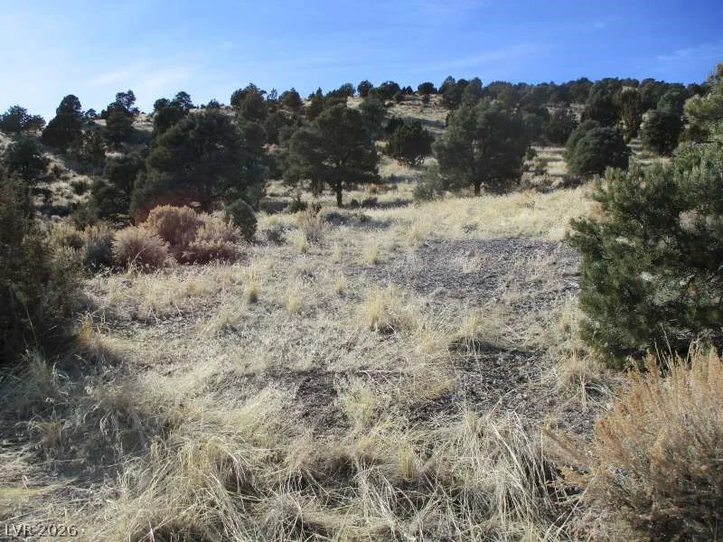 NV Hwy 322 (10.012 Ac), Pioche, NV 89043