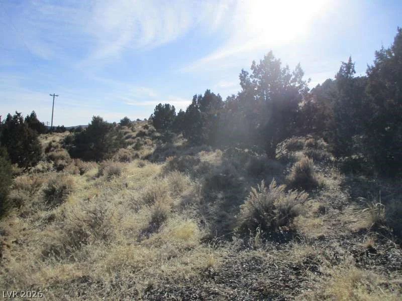 NV Hwy 322 (10.012 Ac), Pioche, NV 89043