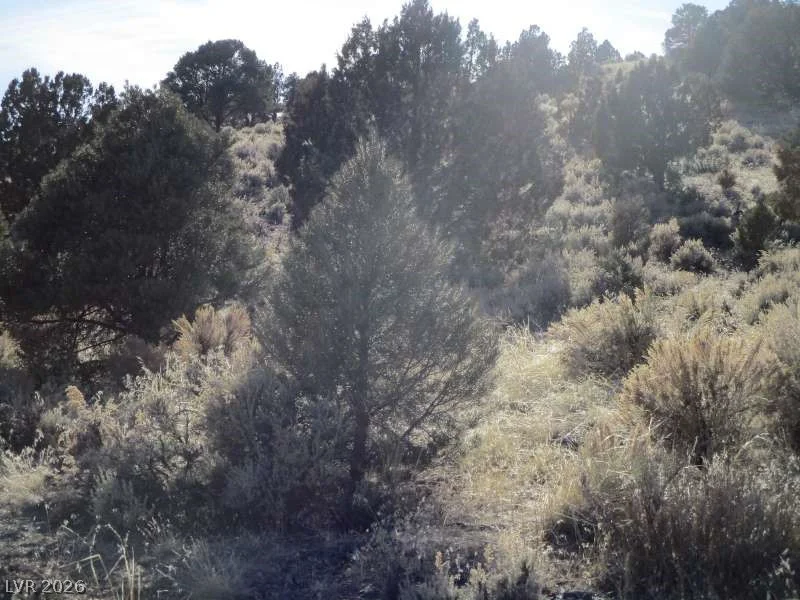 NV Hwy 322 (10.012 Ac), Pioche, NV 89043