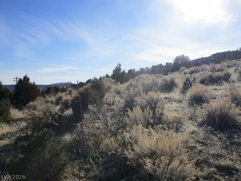 NV Hwy 322 (10.012 Ac), Pioche, NV 89043