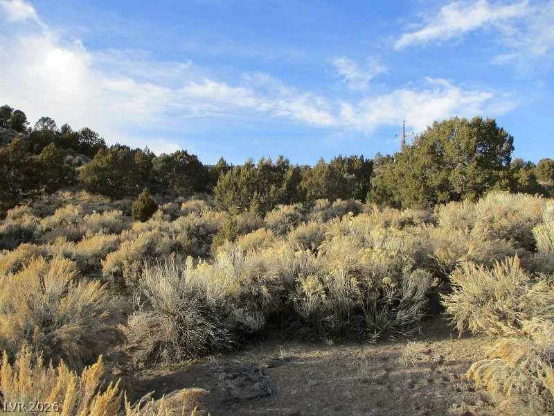 NV Hwy 322 (9.86 Ac), Pioche, NV 89043