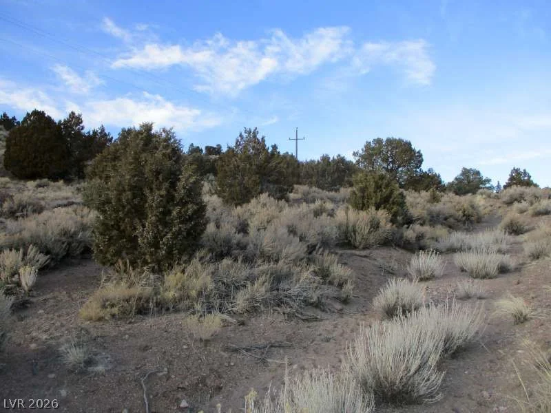 NV Hwy 322 (9.86 Ac), Pioche, NV 89043
