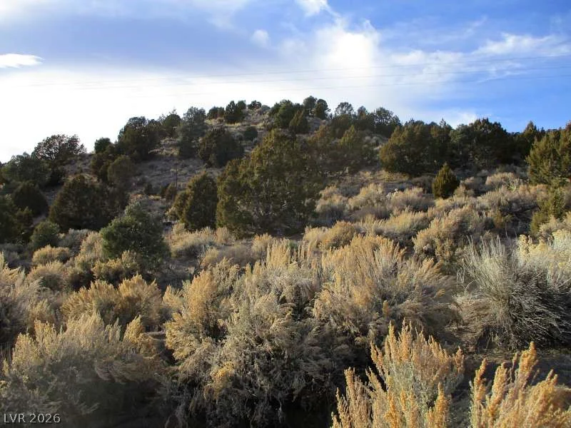 NV Hwy 322 (9.86 Ac), Pioche, NV 89043