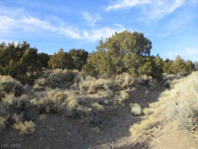 NV Hwy 322 (9.86 Ac), Pioche, NV 89043