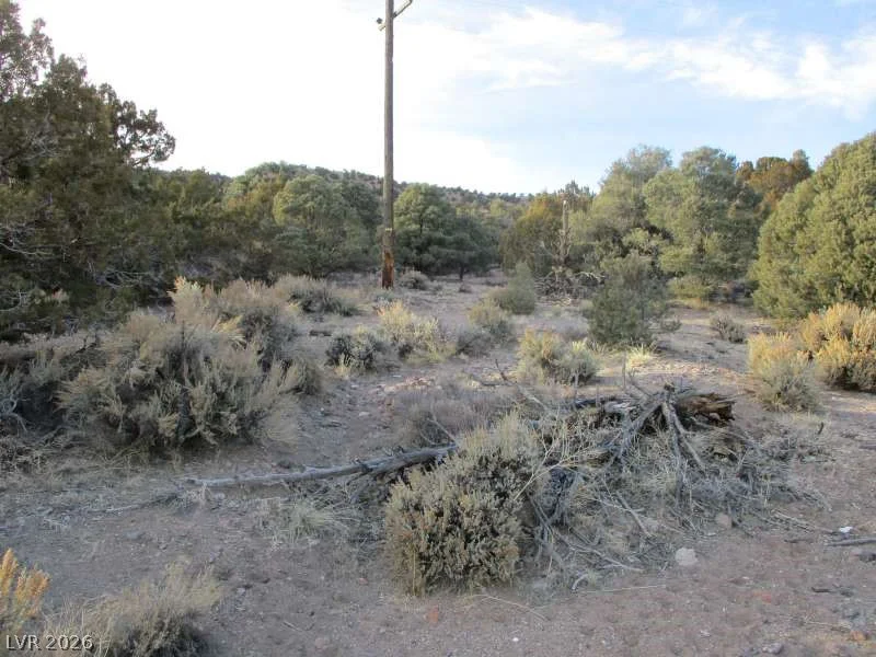 NV Hwy 322 (9.86 Ac), Pioche, NV 89043